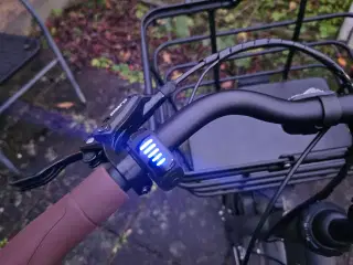 Ny Raleigh Sussex E1 damecykel