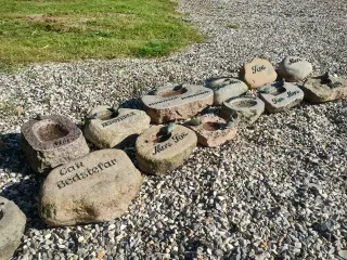 Flotte fuglebade