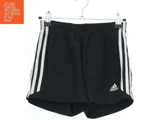 Adidas sorte shorts fra Adidas (str. 146)