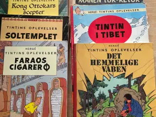 Tintins oplevelser 