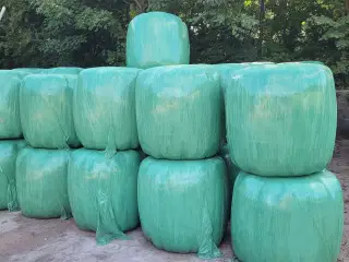 Wrapballer 