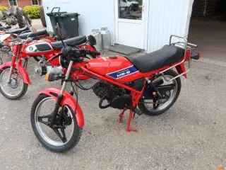 KNALLERT, Honda