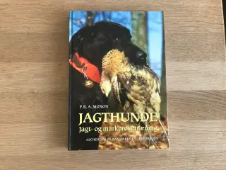 Jagthunde - Jagt- og markprøvetræning