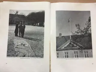 Den Danske Kamp i Billeder og Ord