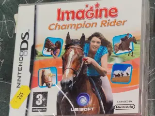 Nintendo DS spil