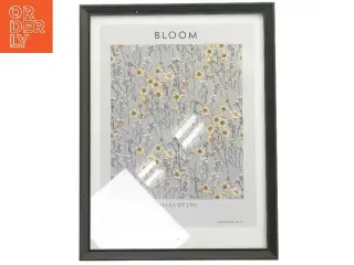 Bloom billede i ramme (str. 43x33 cm)