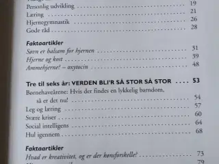 Hallo - er der hul igennem? - dit barns hjerne fra