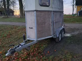 Single Hestetrailer bøckmann 