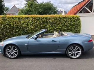 Jaguar XK 4,2 V8 Convertible aut.