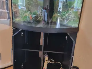 Juwel 190 liter med skab