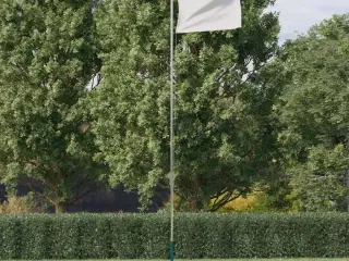 Sektionsinddelt flagstang 6,23 m aluminium sølvfarvet