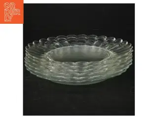 Glastallerkener (6 stk) (str. 18 cm)