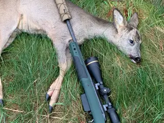 GRS Bifrost Tikka t3x