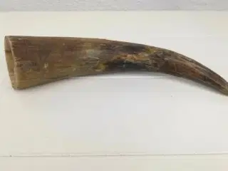 Fin horn som angivnelig stammer fra en tyr eller e
