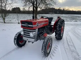 Særdeles flot MF 135