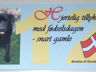 Indbydelser med mere