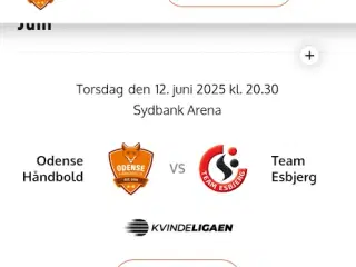 2 Billetter Odense håndbold - Team Esbjerg 12/6