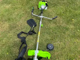 Buskrydder