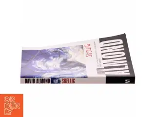 Skellig af David Almond (Bog)