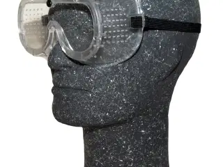 Goggle OS