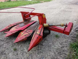 Majsbord
