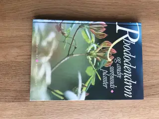 Rhododendron og andre surbundsplanter