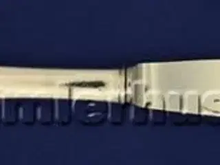 Madeleine Middagskniv, 21½ cm.