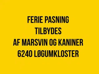 Ferie pasning af kaniner og marsvin tilbydes 