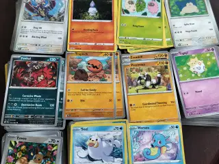 Pokemon bulk