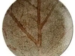 12 stk. Tallerken coupe flad brun 200 mm Nature Essence