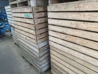 10 stk. Kartoffelkasser