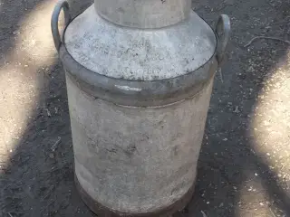 Mælkejunge 50 liter