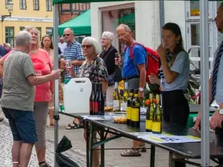 2 billetter til Ribe Vinfestival 2024