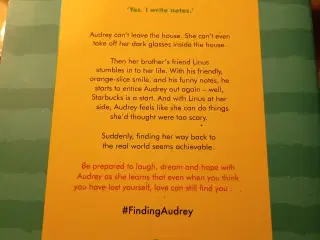 Sophie Kinsella, Finding Audrey.