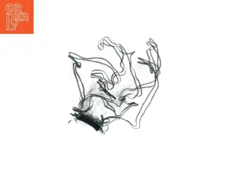 Designer Christophe Coppens slør