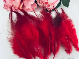 Fjer i røde og mørke nuancer 10 stk.