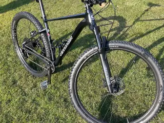 Cannondale Trail SL 3
