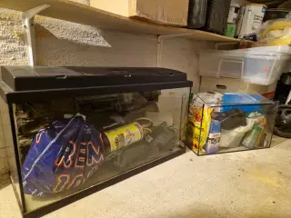 Akvarium 96ltr. Med masser af tilbehør