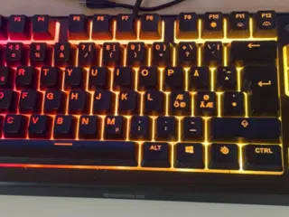 SteelSeries Apex 3 TKL RGB (Nordic)