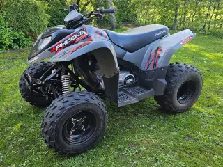 Polaris phoenix 200ccm 