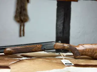 Blaser F16 game
