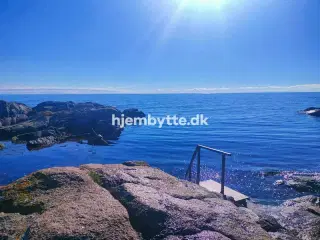 Hjembytte - Torvegade