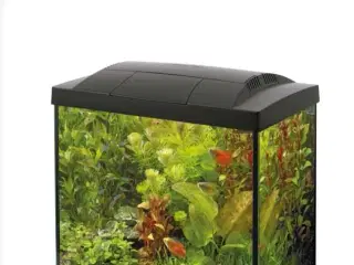 Akvarier 45L 