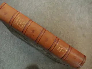 maleren l. a. ring 1854-1933. udgået biblioteksbog
