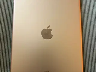 iPad 7 10,2” 