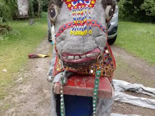 dragt