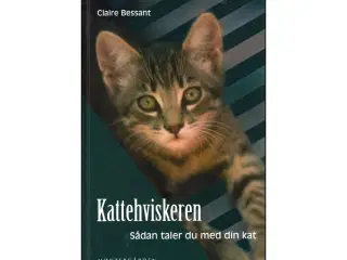 Kattehviskeren - Sådan taler du med din Kat