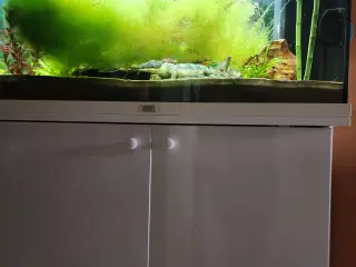 Juwel Rio akvarie, 125 liter