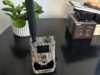 Vildkamera med simkort