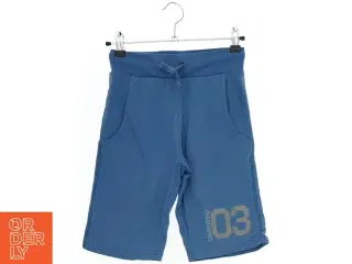 Blå Shorts fra Dognose (str. 140)